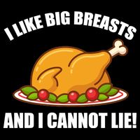I like Big Breasts And I Cannot Lie Flat Bill Trucker Hat
