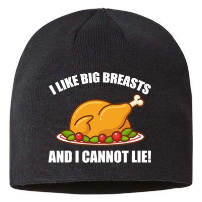 I like Big Breasts And I Cannot Lie Sustainable Beanie