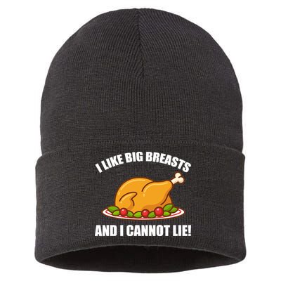 I like Big Breasts And I Cannot Lie Sustainable Knit Beanie