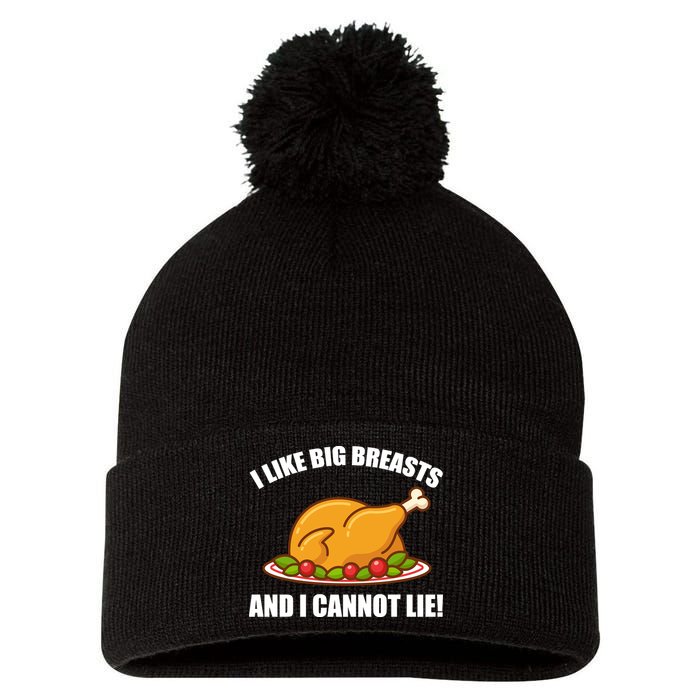 I like Big Breasts And I Cannot Lie Pom Pom 12in Knit Beanie