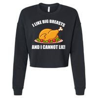 I like Big Breasts And I Cannot Lie Cropped Pullover Crew