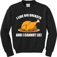 I like Big Breasts And I Cannot Lie Kids Sweatshirt