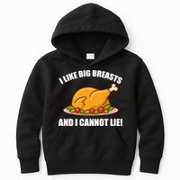 I like Big Breasts And I Cannot Lie Kids Hoodie