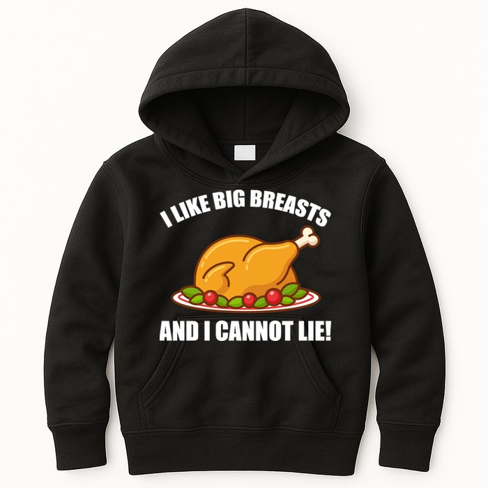 I like Big Breasts And I Cannot Lie Kids Hoodie