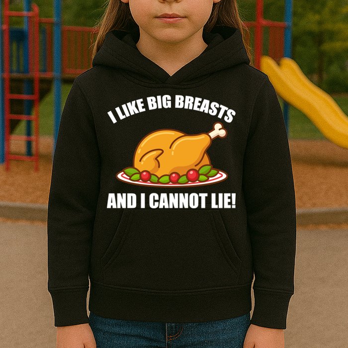 I like Big Breasts And I Cannot Lie Kids Hoodie
