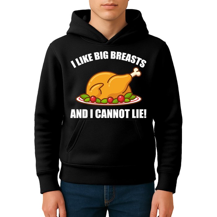 I like Big Breasts And I Cannot Lie Kids Hoodie