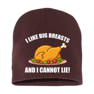 I like Big Breasts And I Cannot Lie Short Acrylic Beanie