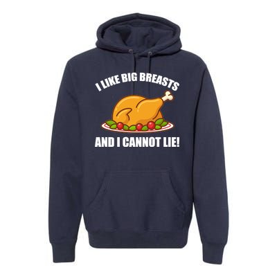 I like Big Breasts And I Cannot Lie Premium Hoodie