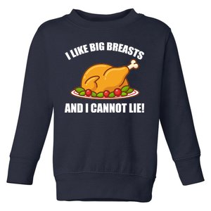 I like Big Breasts And I Cannot Lie Toddler Sweatshirt