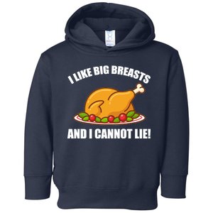 I like Big Breasts And I Cannot Lie Toddler Hoodie