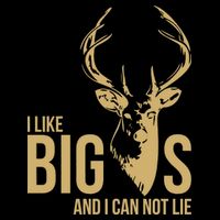 I Like Big Bucks and I Cannot Lie Women's V-Neck T-Shirt