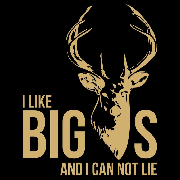 I Like Big Bucks and I Cannot Lie Wool Snapback Cap