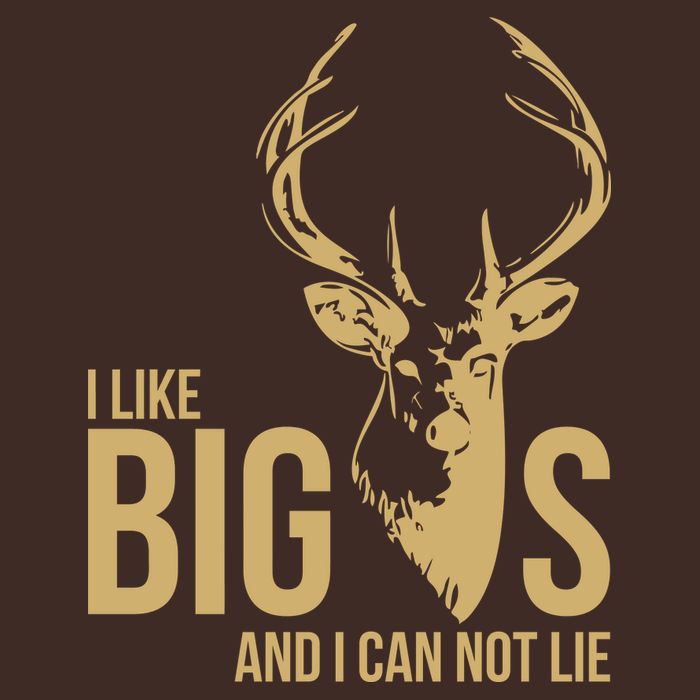 I Like Big Bucks and I Cannot Lie Beanie