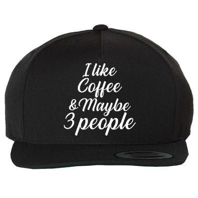 I Like Coffee & Maybe 3 People Wool Snapback Cap