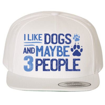 I Like Dogs And Maybe 3 People Wool Snapback Cap