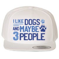 I Like Dogs And Maybe 3 People Wool Snapback Cap