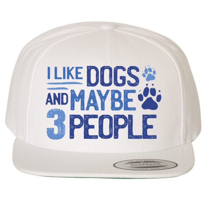 I Like Dogs And Maybe 3 People Wool Snapback Cap