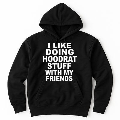I Like Doing Hoodrat Stuff With My Friends Hoodie