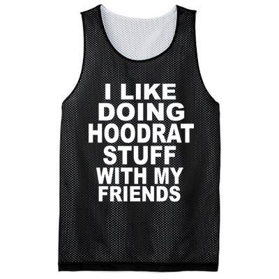 I Like Doing Hoodrat Stuff With My Friends Mesh Reversible Basketball Jersey Tank