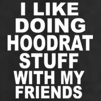 I Like Doing Hoodrat Stuff With My Friends Tumbler