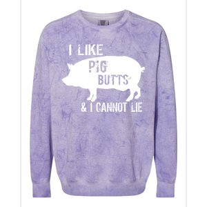 I Like Pig Butts & I Cannot Lie Colorblast Crewneck Sweatshirt