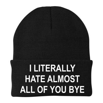 I Literally Hate Almost All Of You Bye Beanie