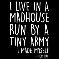 I Live In A Madhouse Run By A Tiny Army Mom Life Stripe Pom Pom Beanie