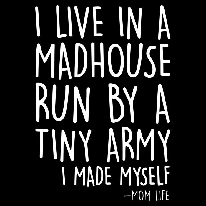 I Live In A Madhouse Run By A Tiny Army Mom Life Stripe Pom Pom Beanie