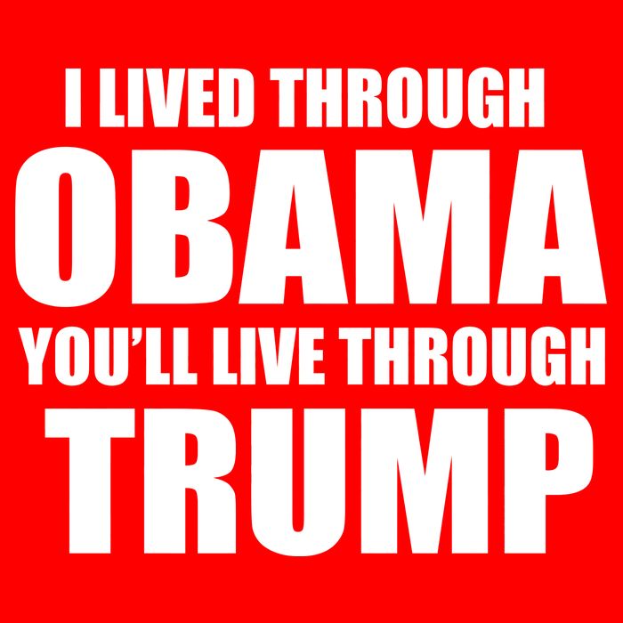 I Lived Through Obama You'll Live Through Trump T-Shirt