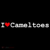 I Love Camel Toes Tank Top