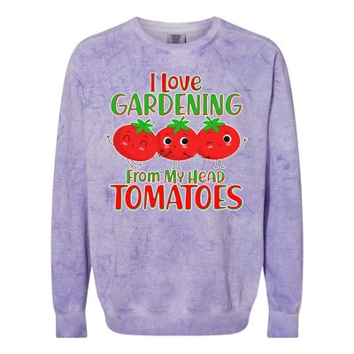 I Love Gardening From My Head Tomatoes Colorblast Crewneck Sweatshirt