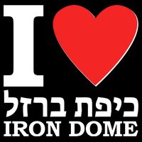 I Love Heart Iron Dome Hebrew Flat Bill Trucker Hat