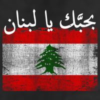I Love Lebanon Distressed Flag Support Adult Drive Performance Visor