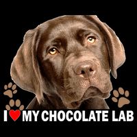 I Love My Chocolate Lab Cooling Performance Crew T-Shirt