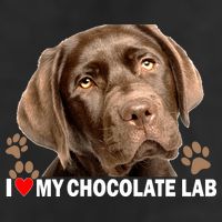 I Love My Chocolate Lab Adult Drive Performance Visor