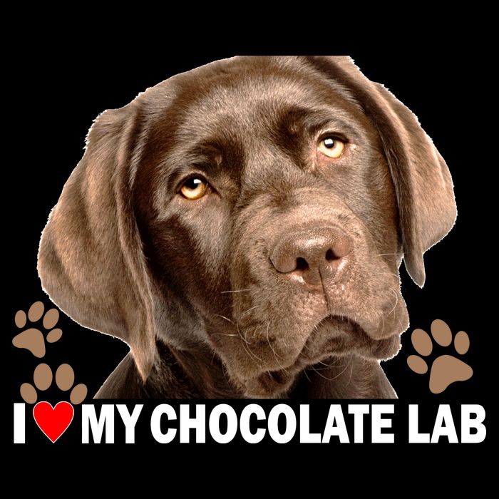 I Love My Chocolate Lab Womens Tank Top