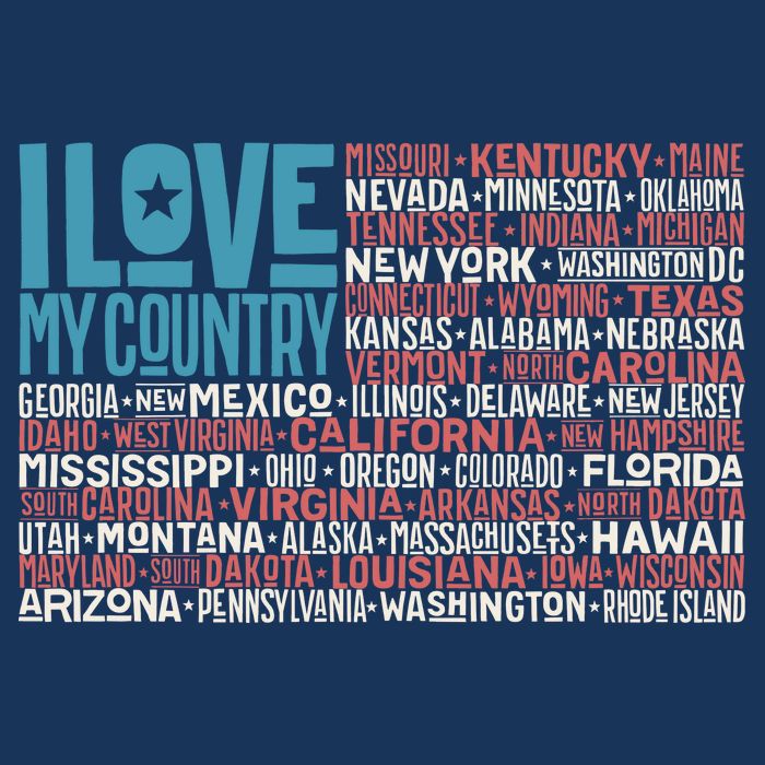 I Love My Country USA State Flag T-Shirt