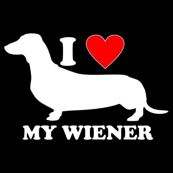 I Love My Wiener Flat Bill Trucker Hat