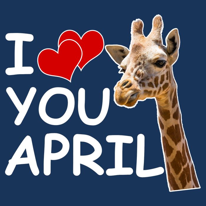 I Love You April The Giraffe Photo Premium T-Shirt