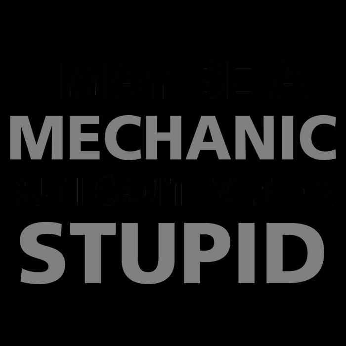 I May Be A Mechanic But I Can't Fix Stupid 16oz Travel Tumbler