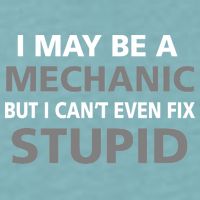 I May Be A Mechanic But I Can't Fix Stupid Sueded Cloud Jersey T-Shirt