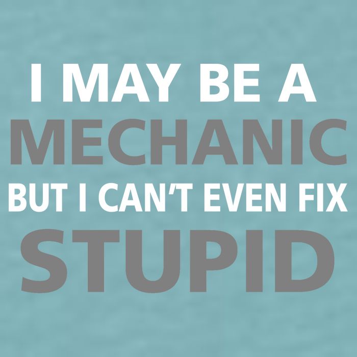 I May Be A Mechanic But I Can't Fix Stupid Sueded Cloud Jersey T-Shirt