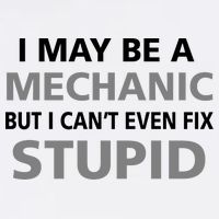 I May Be A Mechanic But I Can't Fix Stupid Garment-Dyed Sweatshirt