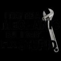 I May Be A Mechanic But I Can't Fix Stupid Funny Mug