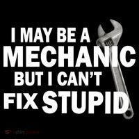 I May Be A Mechanic But I Can't Fix Stupid Funny Sustainable Beanie