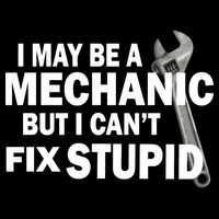 I May Be A Mechanic But I Can't Fix Stupid Funny 16 in Basic Backpack