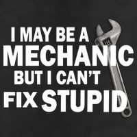 I May Be A Mechanic But I Can't Fix Stupid Funny Trucker Hat