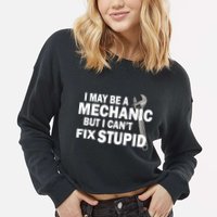 I May Be A Mechanic But I Can't Fix Stupid Funny Cropped Pullover Crew