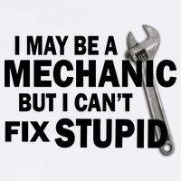 I May Be A Mechanic But I Can't Fix Stupid Funny Garment-Dyed Sweatshirt