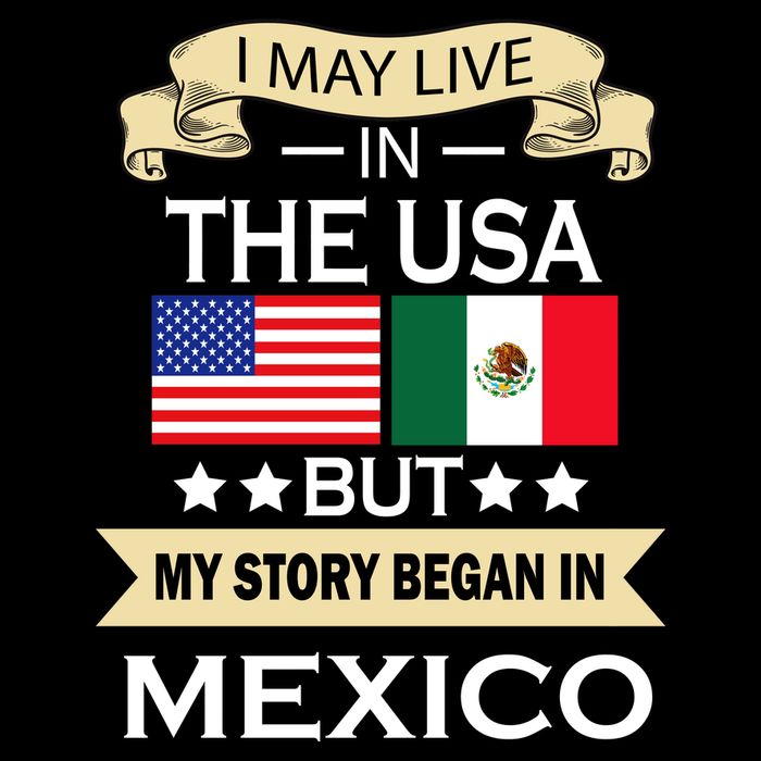I May Live In The USA But My Story Began In Mexico USA-Made Doggie Bandana